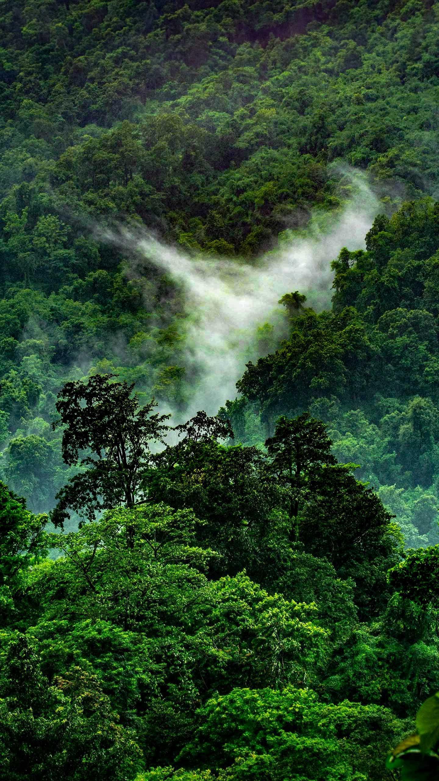 Communicators Urged to Shift Amazon Rainforest Narrative from Doom to Agency