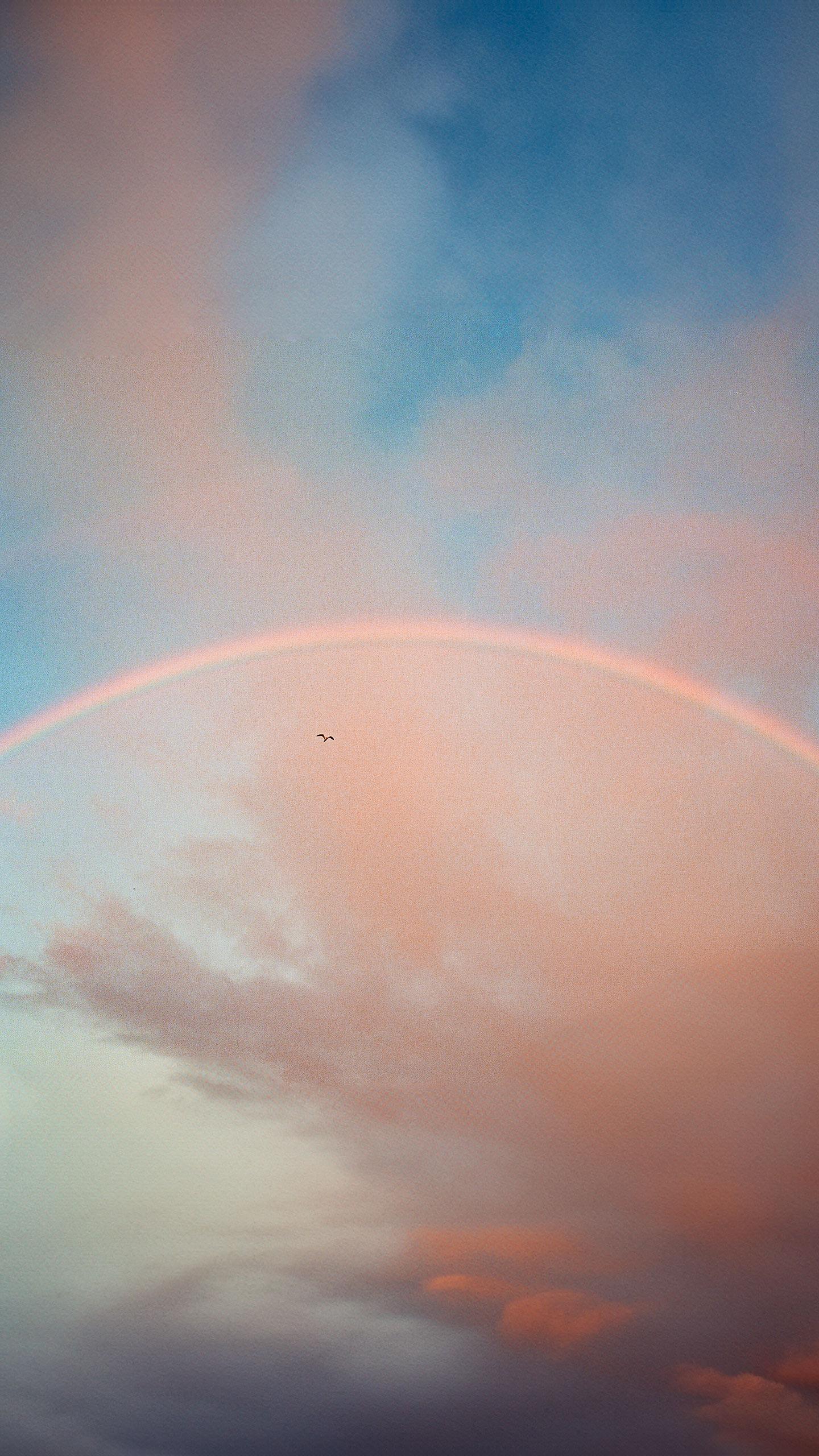 Viral Video Captures Plane Flying 'Into a Rainbow' Over Florida