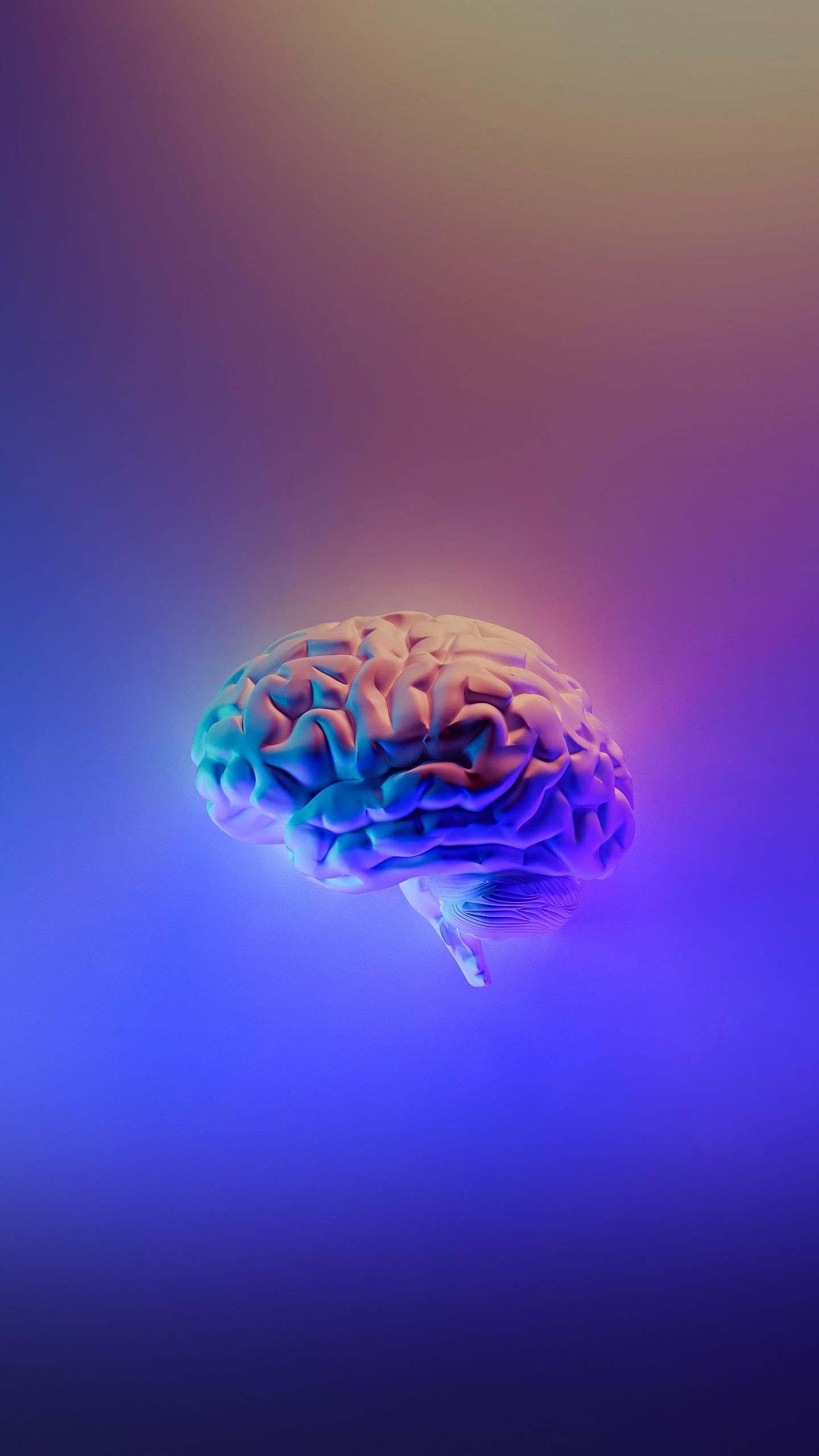 Scientists Discover Gene Modification to Protect Brain Connections in Alzheimer's