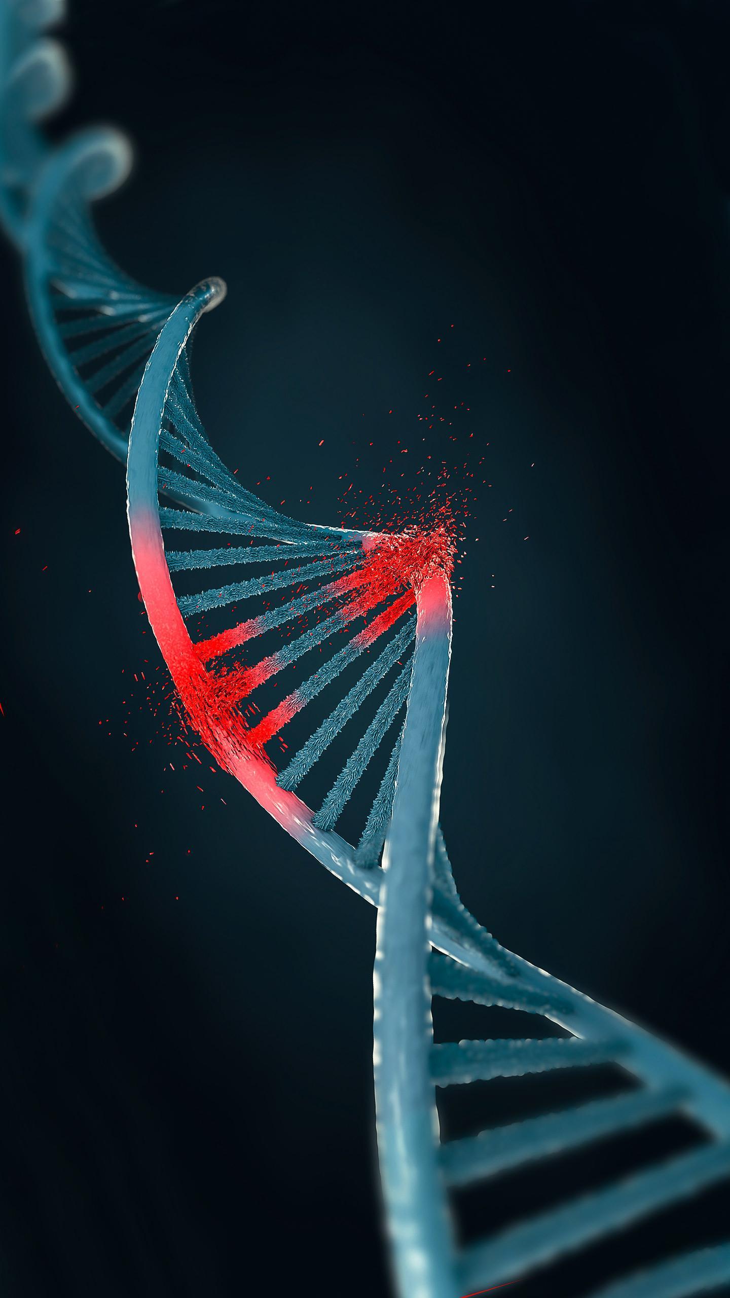 Researchers Identify CPD Gene Mutation Linked to Deafness and Potential Treatments