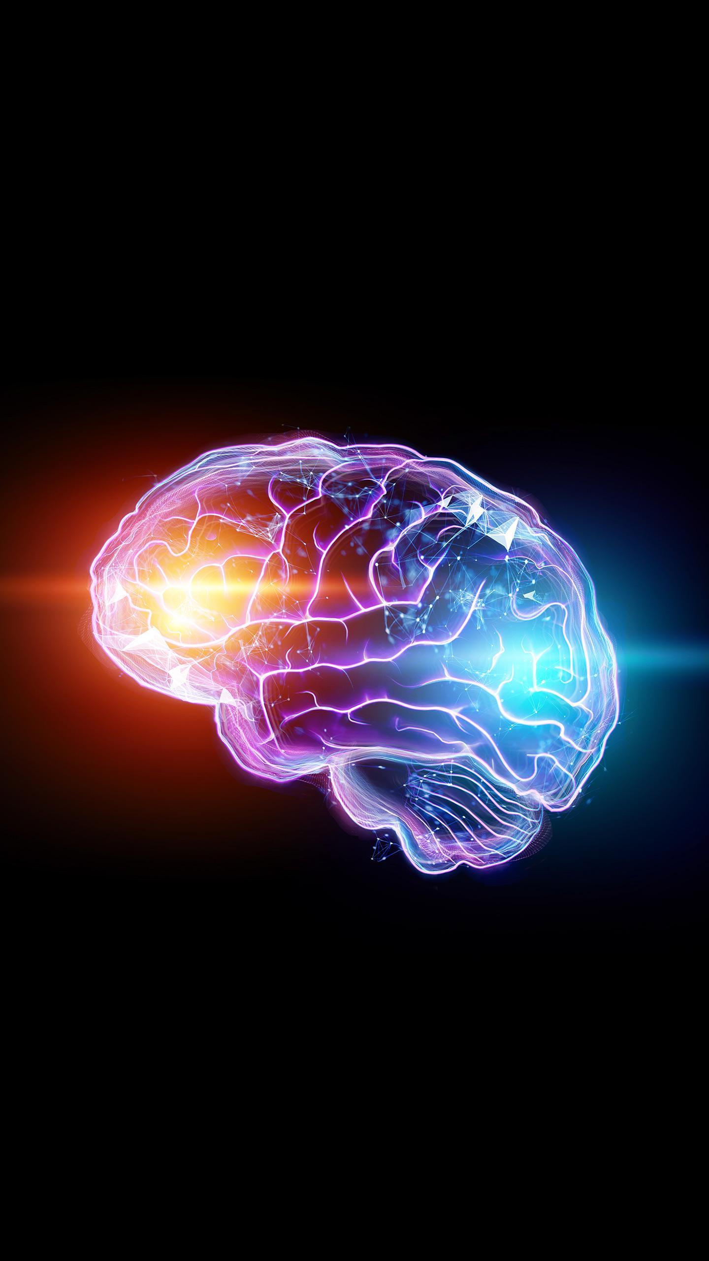 Nature Study Explores Blood-Brain Barrier's Role in Alzheimer's Disease Progression