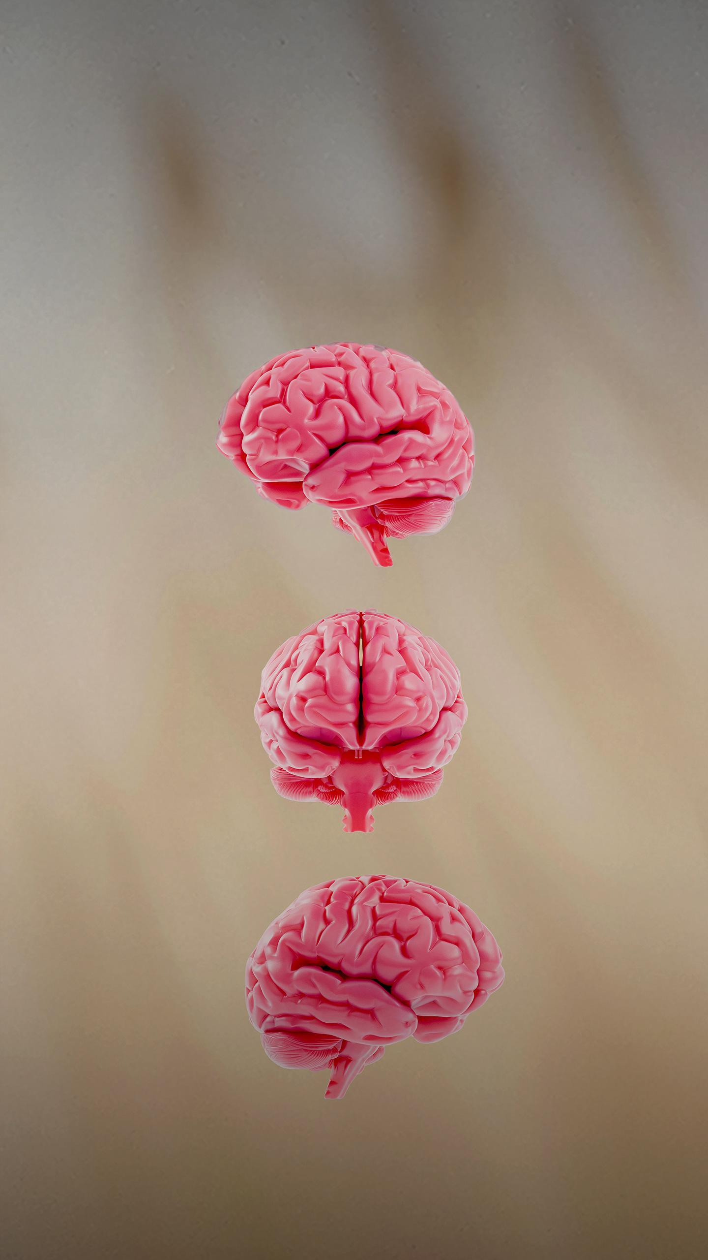 Hearing and Brain Centers Launch Initiative to Reduce Dementia Risk Among Seniors