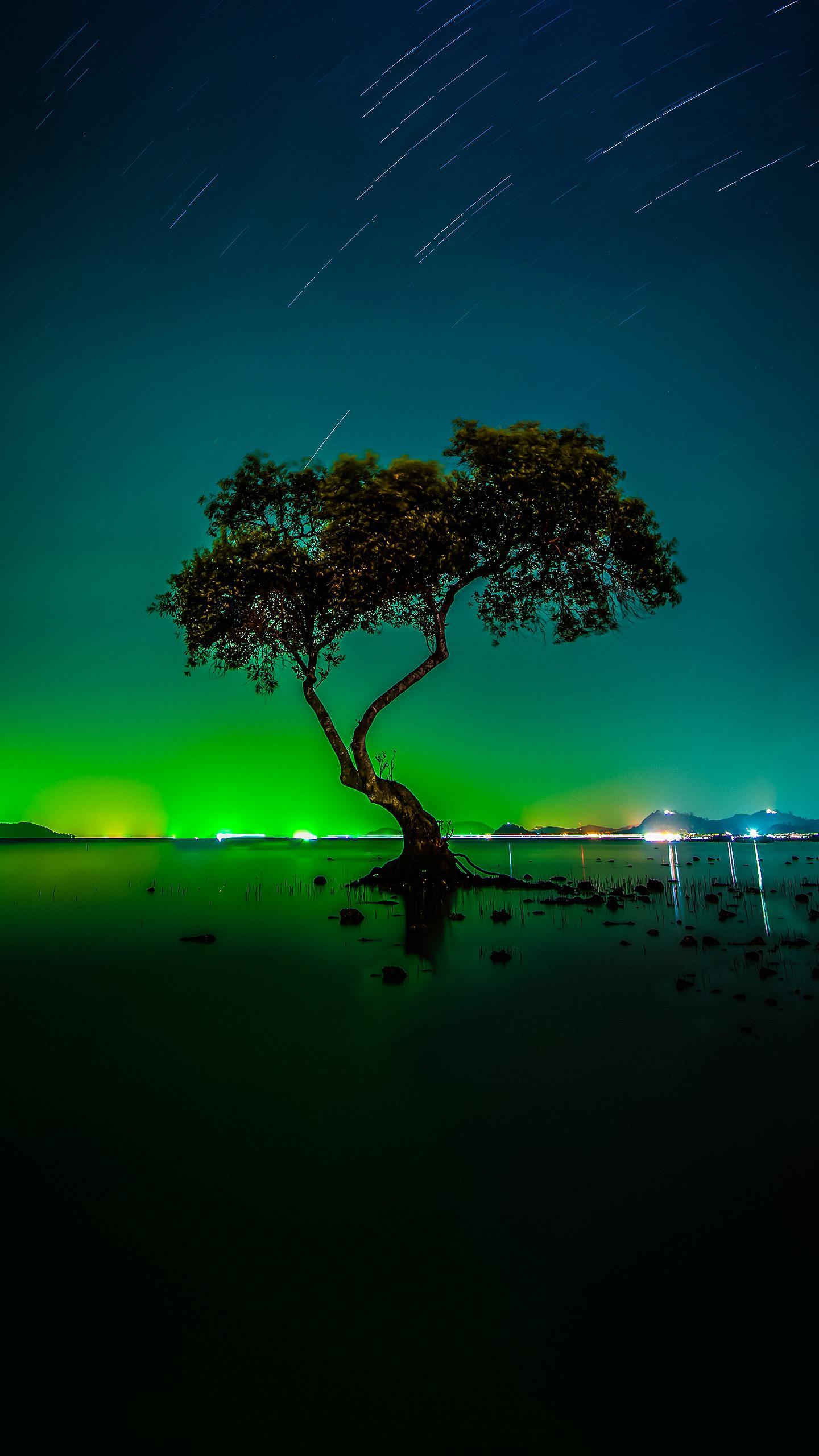 Study Reveals Rotating Water, Coffee, and Tea May Extend Lifespan