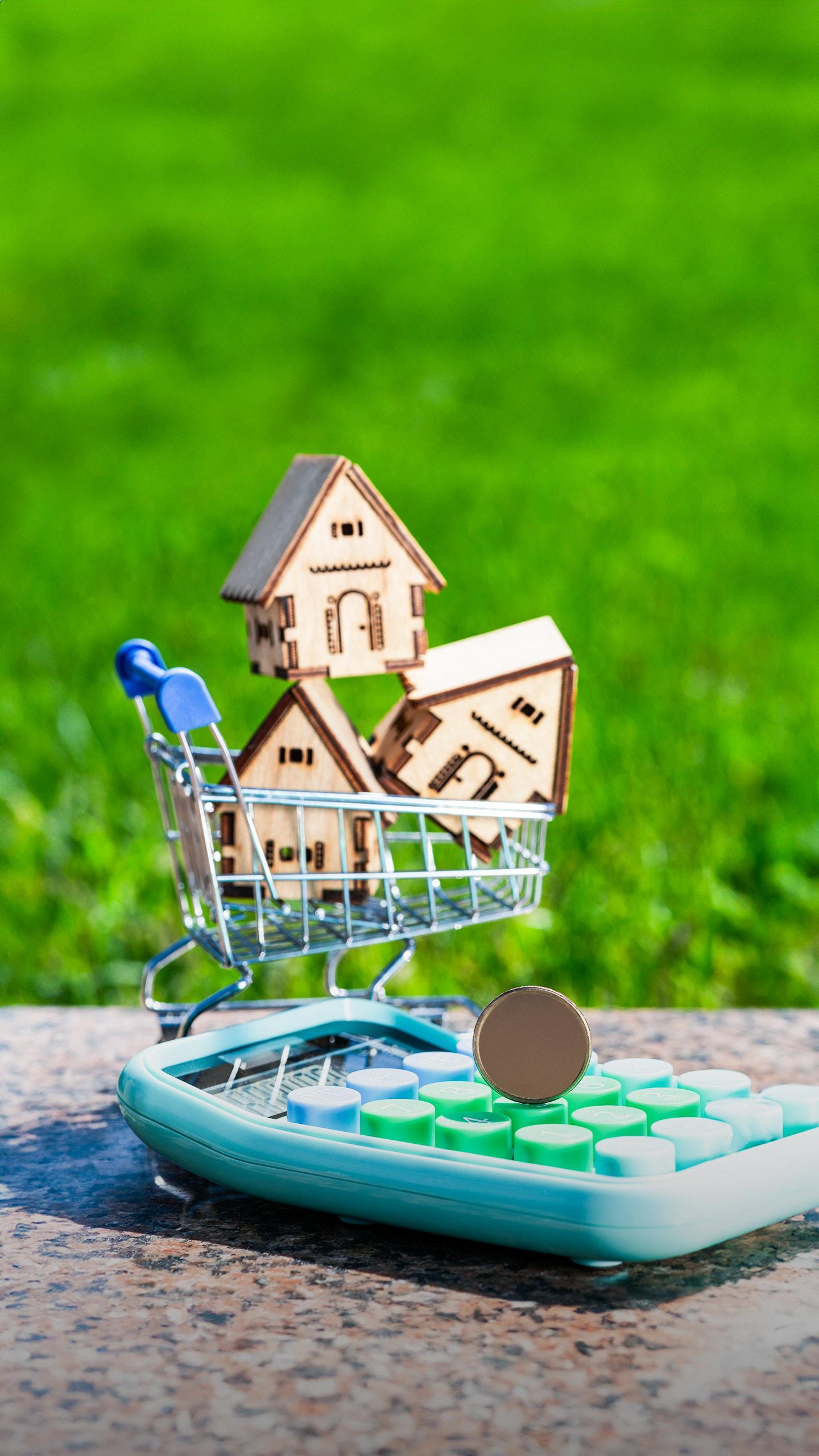 Tory Johnson Offers 'Deals and Steals' on Home Products with Significant Discounts