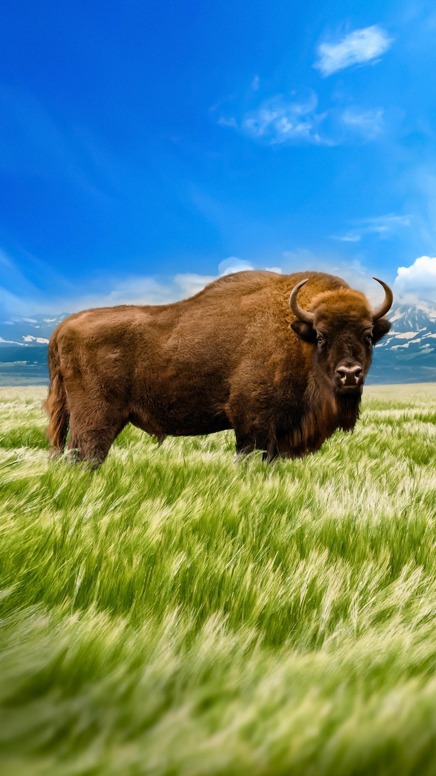 Vocabulary Challenge: Understanding the Word 'Horde'