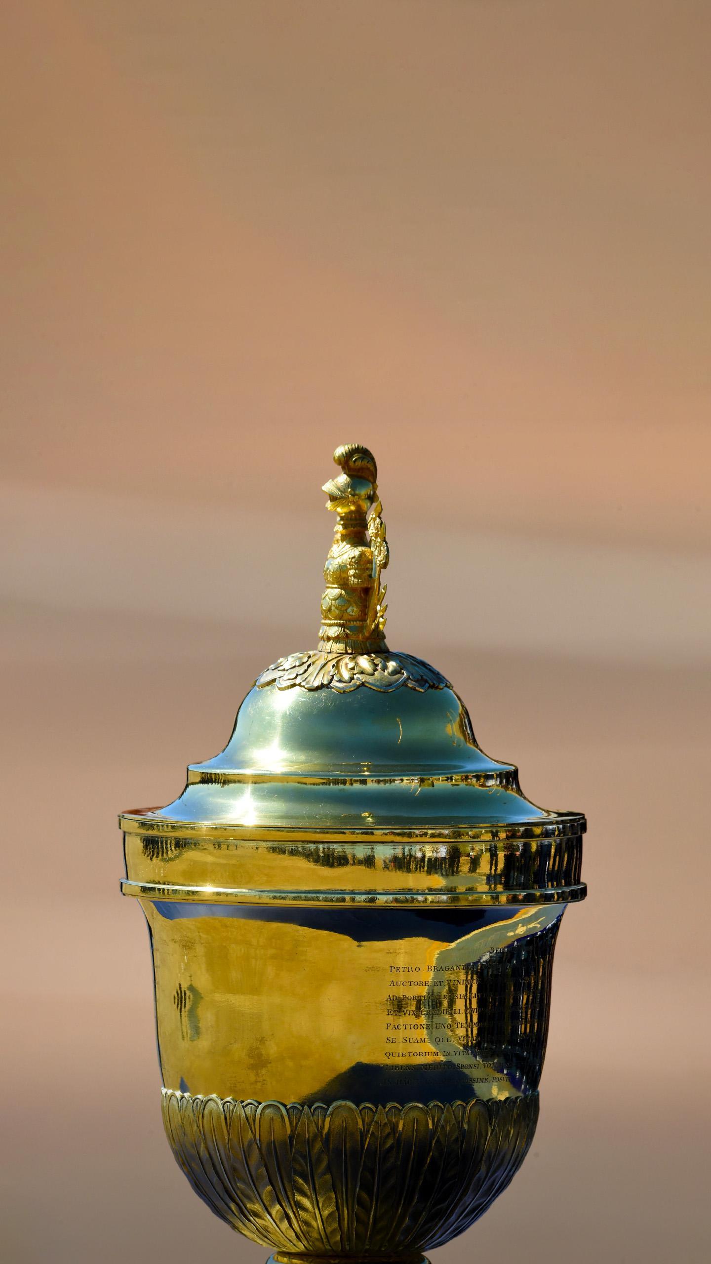 Urolithin A Supplementation Enhances Immune Function in Middle-Aged Adults