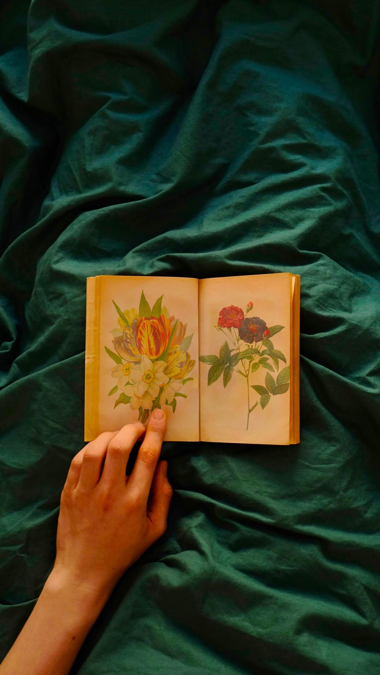 Joseph Banks: Influential Botanist and Explorer's Legacy Explored