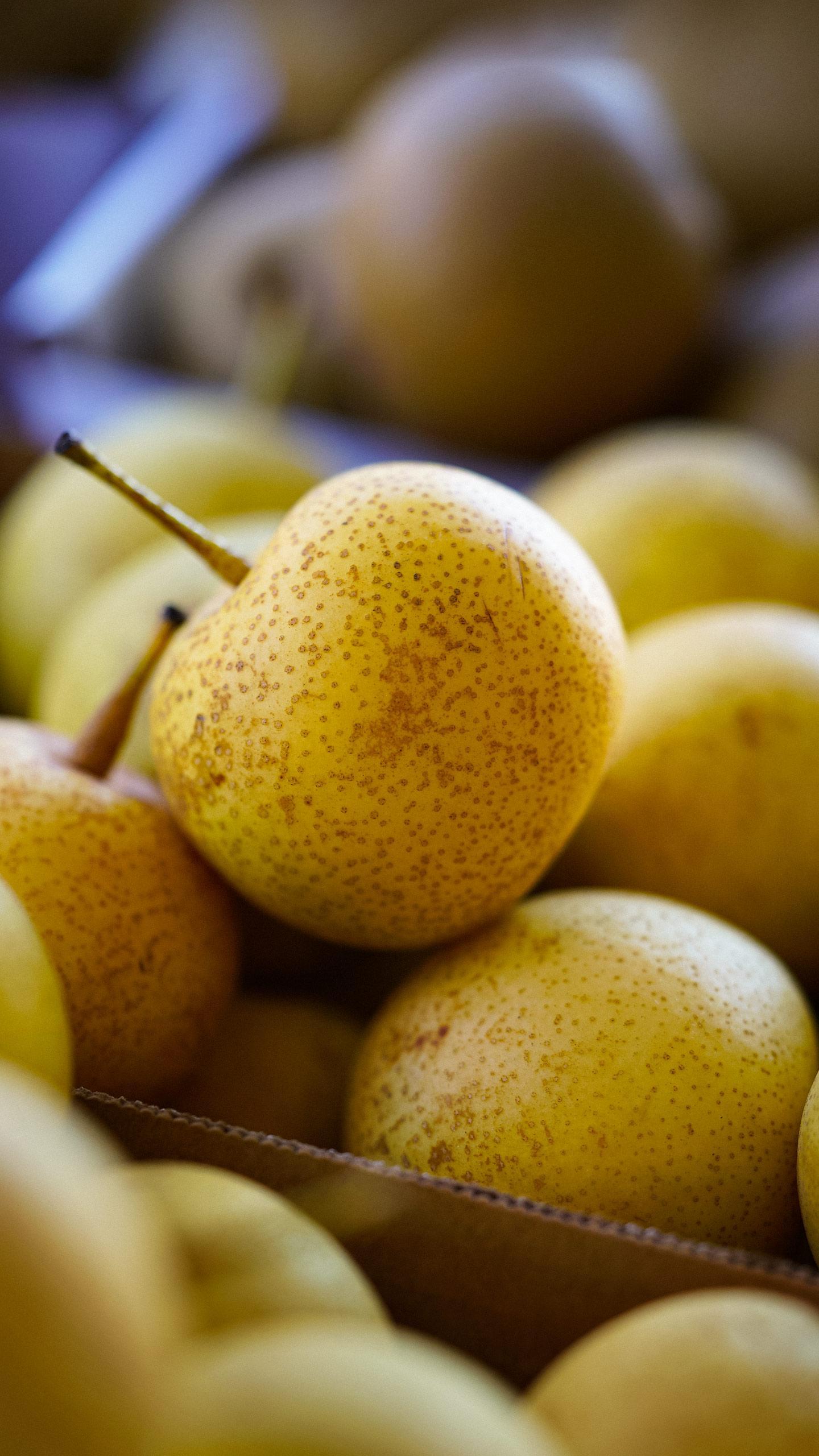 Your Produce Man Explores Oregon Pears, Uncovers Surprising Finds
