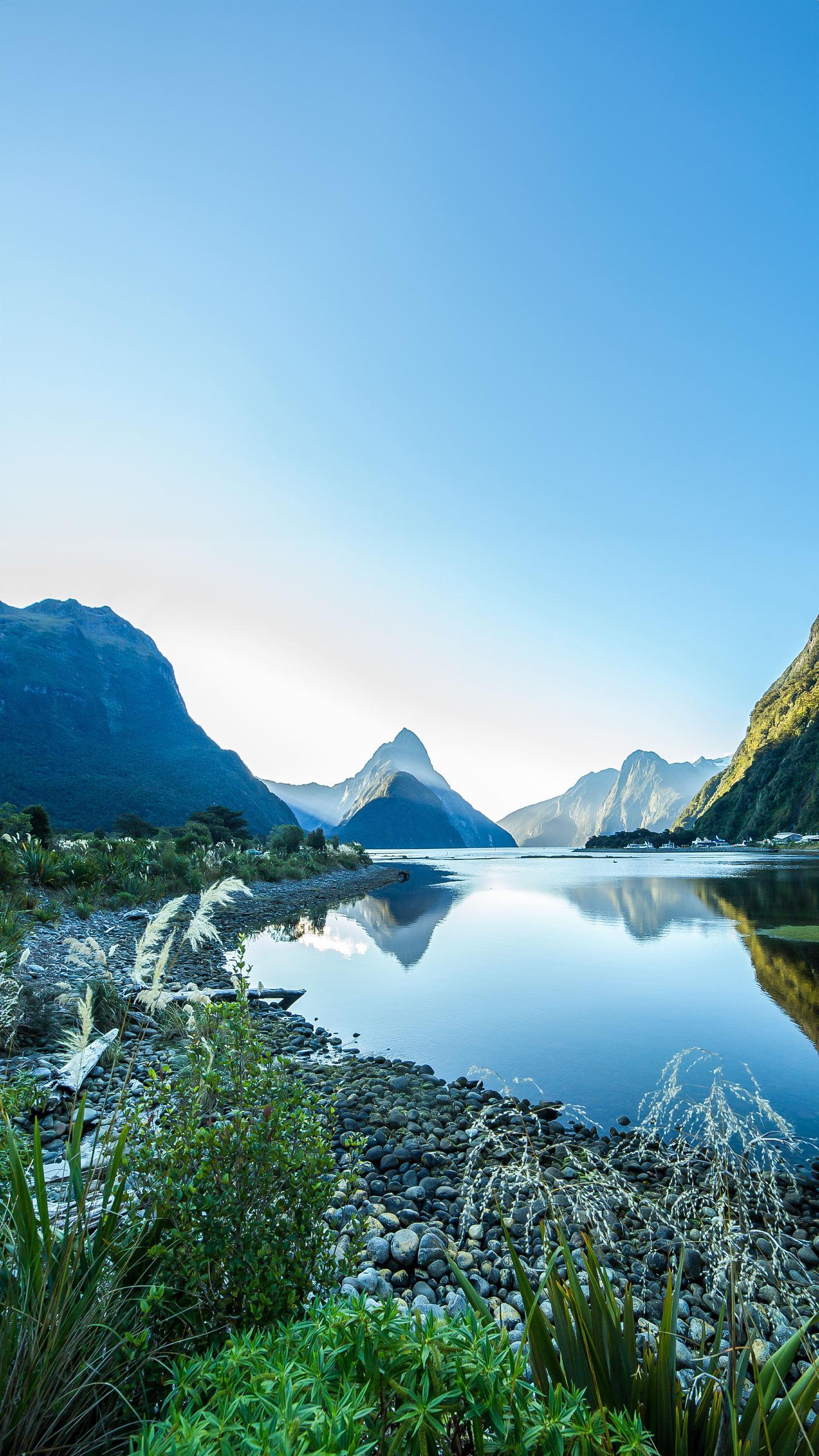 New Zealand's Ambitious Plan to Eradicate Invasive Species by 2050
