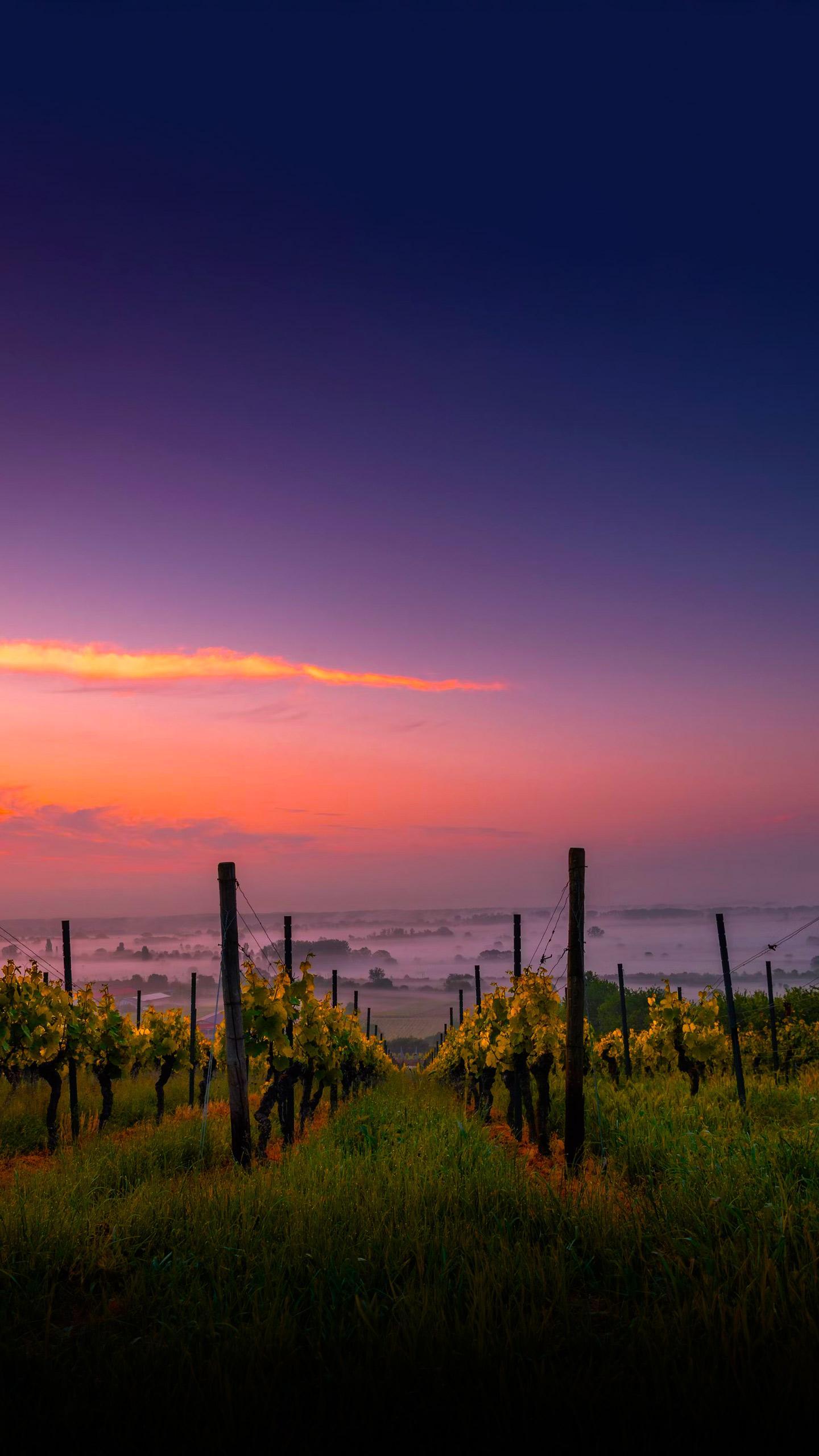 Explore Elk Grove Launches Hallo-Wine Trail with Exclusive Offers