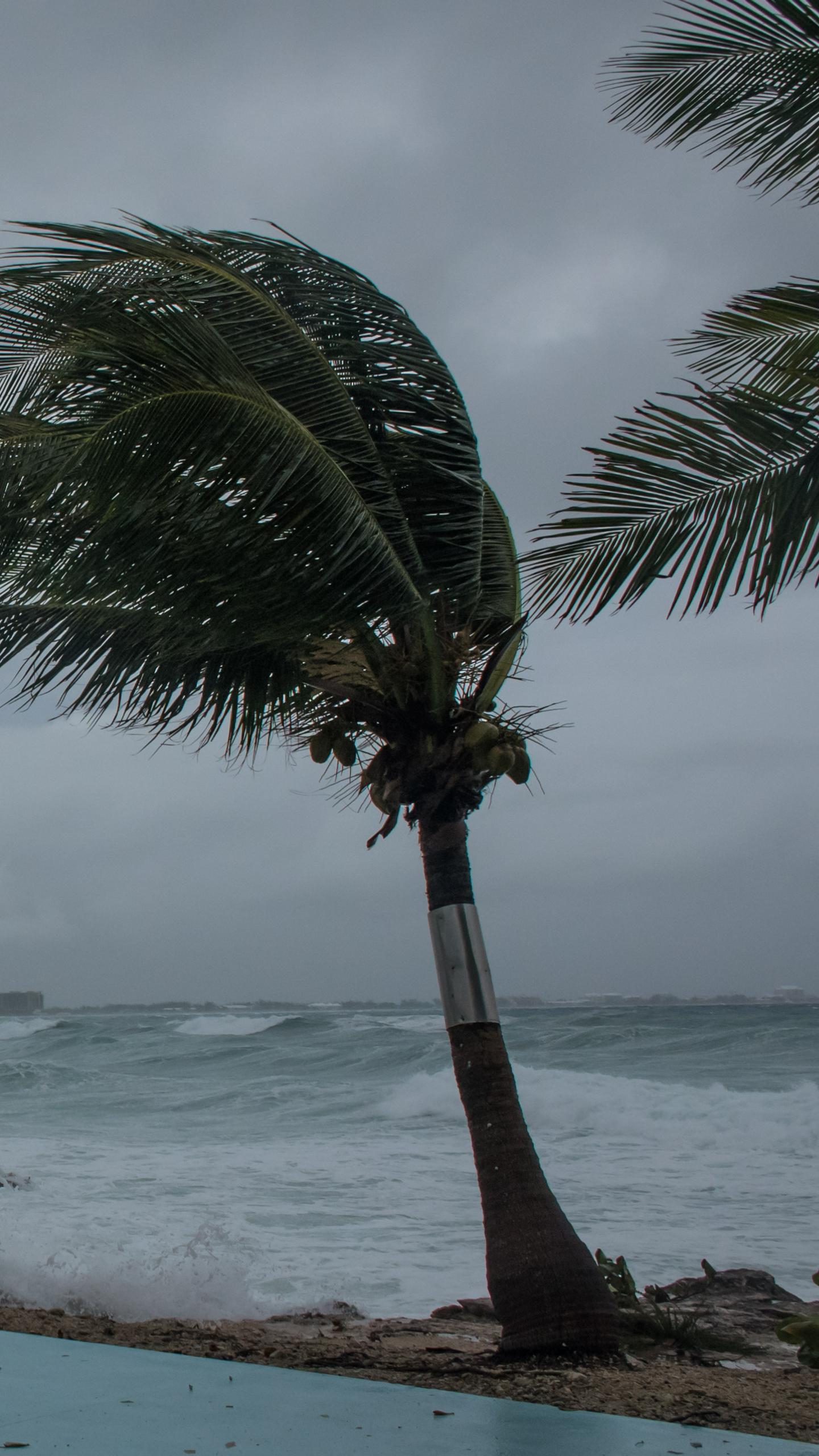 Hurricane Melissa Strands Hotel Guests in Jamaica, Fosters New Friendships