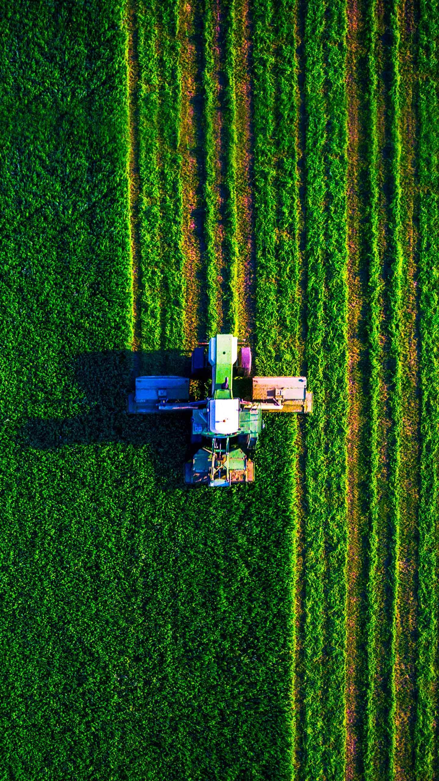 Farmfair 2025: A Celebration of Agriculture and Global Connections