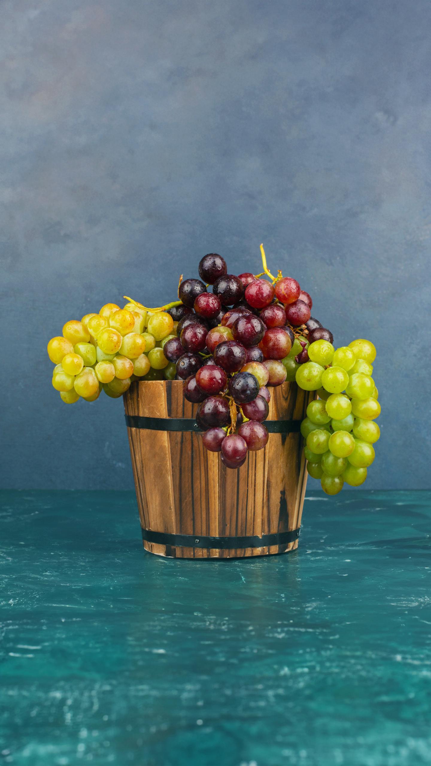 Minneapolis Art and Gift Expo Concludes, Offering Holiday Inspiration