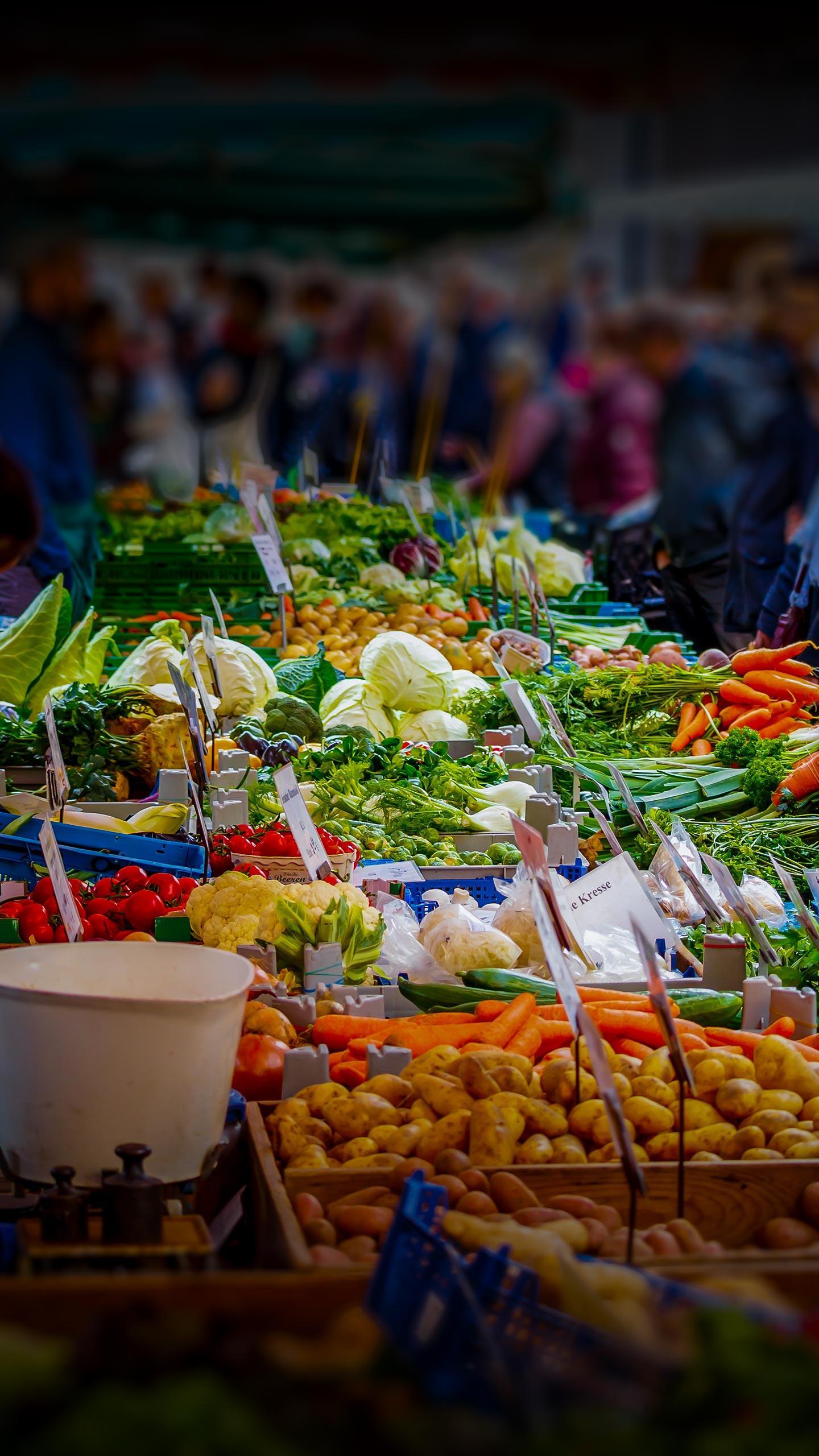 16 Tech Hosts Indy Winter Farmers Market, Enhancing Access to Sustainable Agriculture