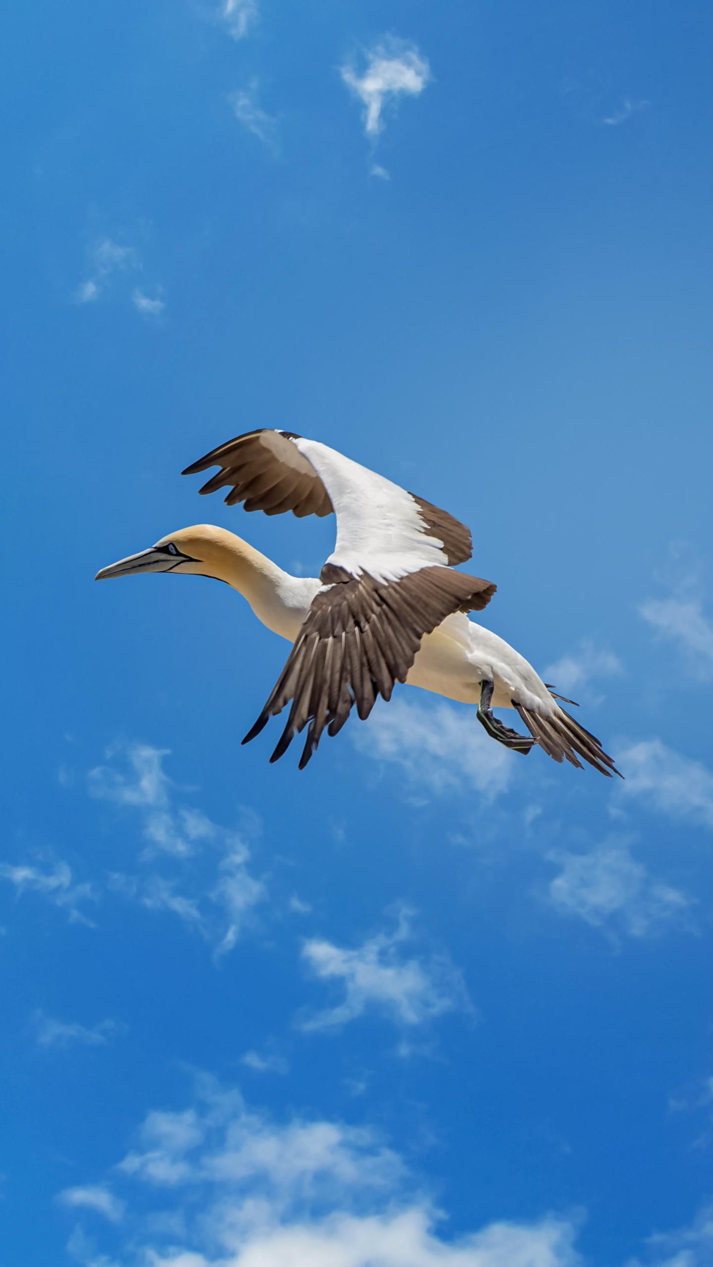 Press Ganey Report Highlights Safety and AI in Healthcare Consumer Experience