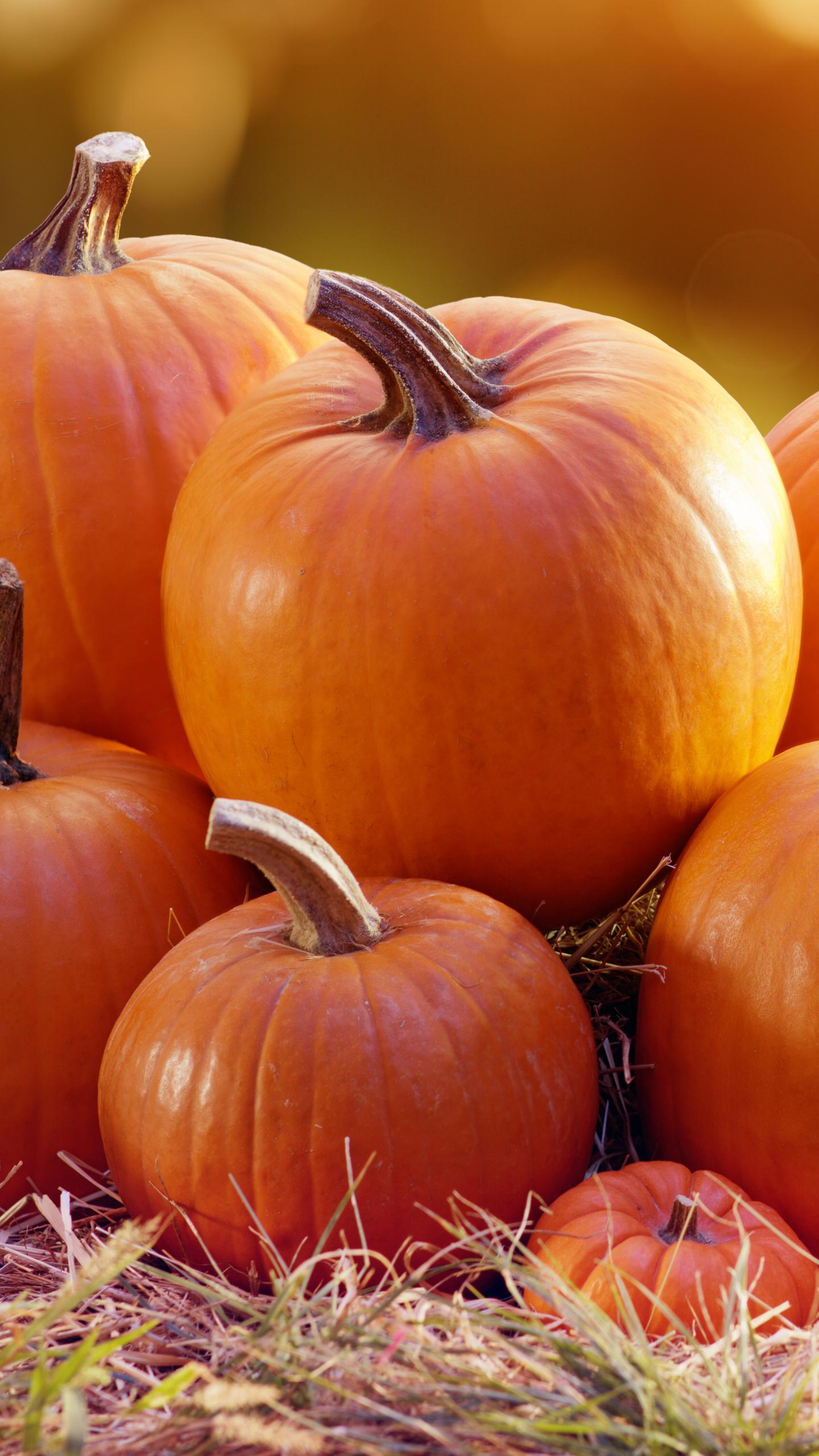 Iowa Public Radio Highlights Thanksgiving Celebrations by Americans Abroad