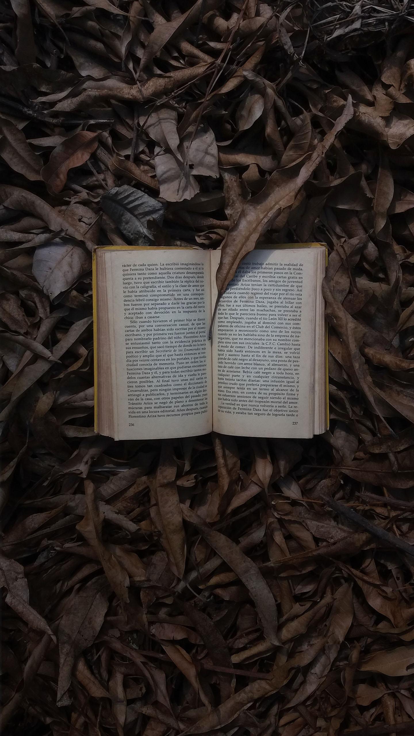 Novel Explores Moral Ambiguity Amid Scarcity and Survival