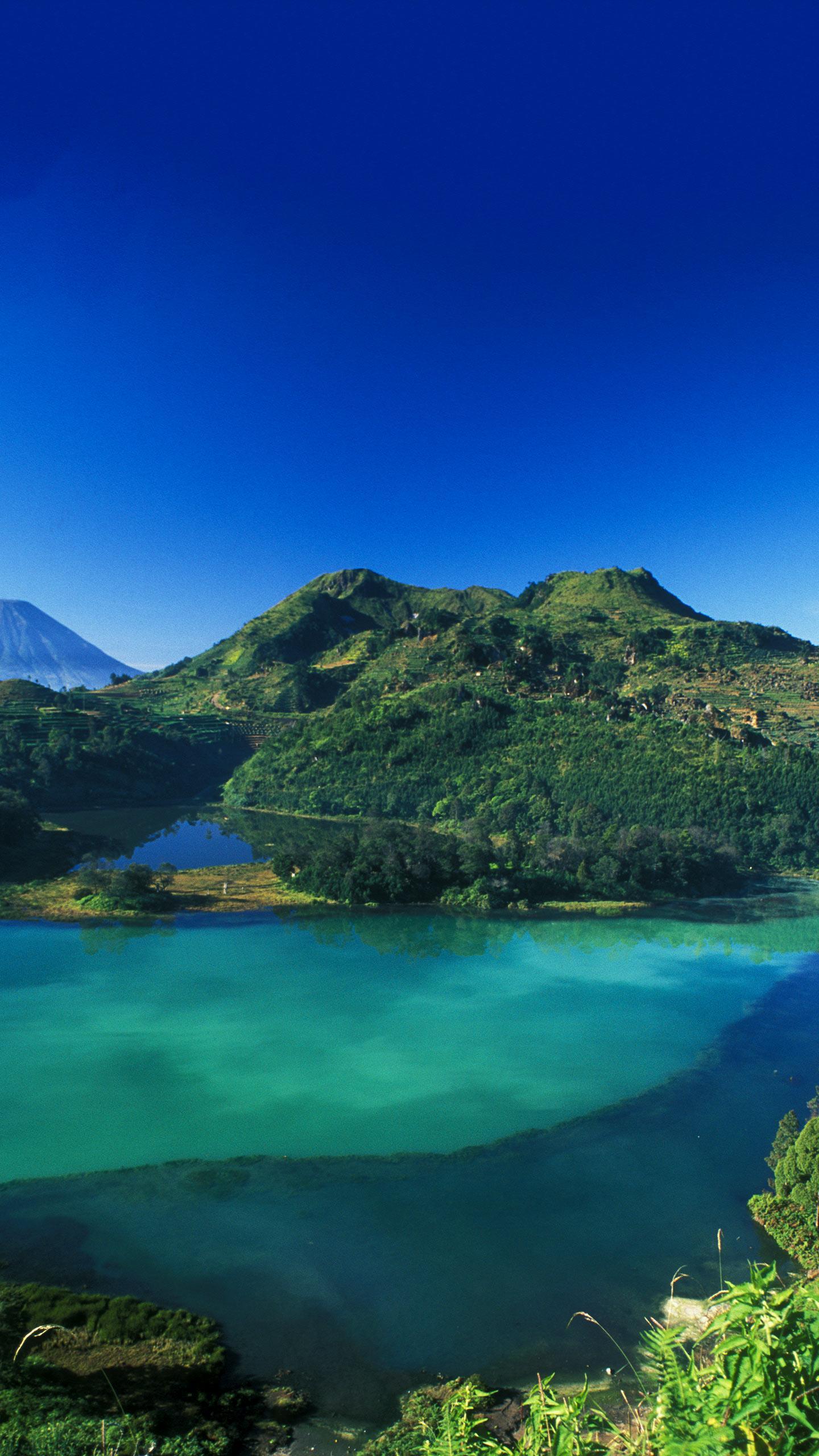 FDA Issues Warning Letters to Companies Selling Unapproved Botox Knockoffs