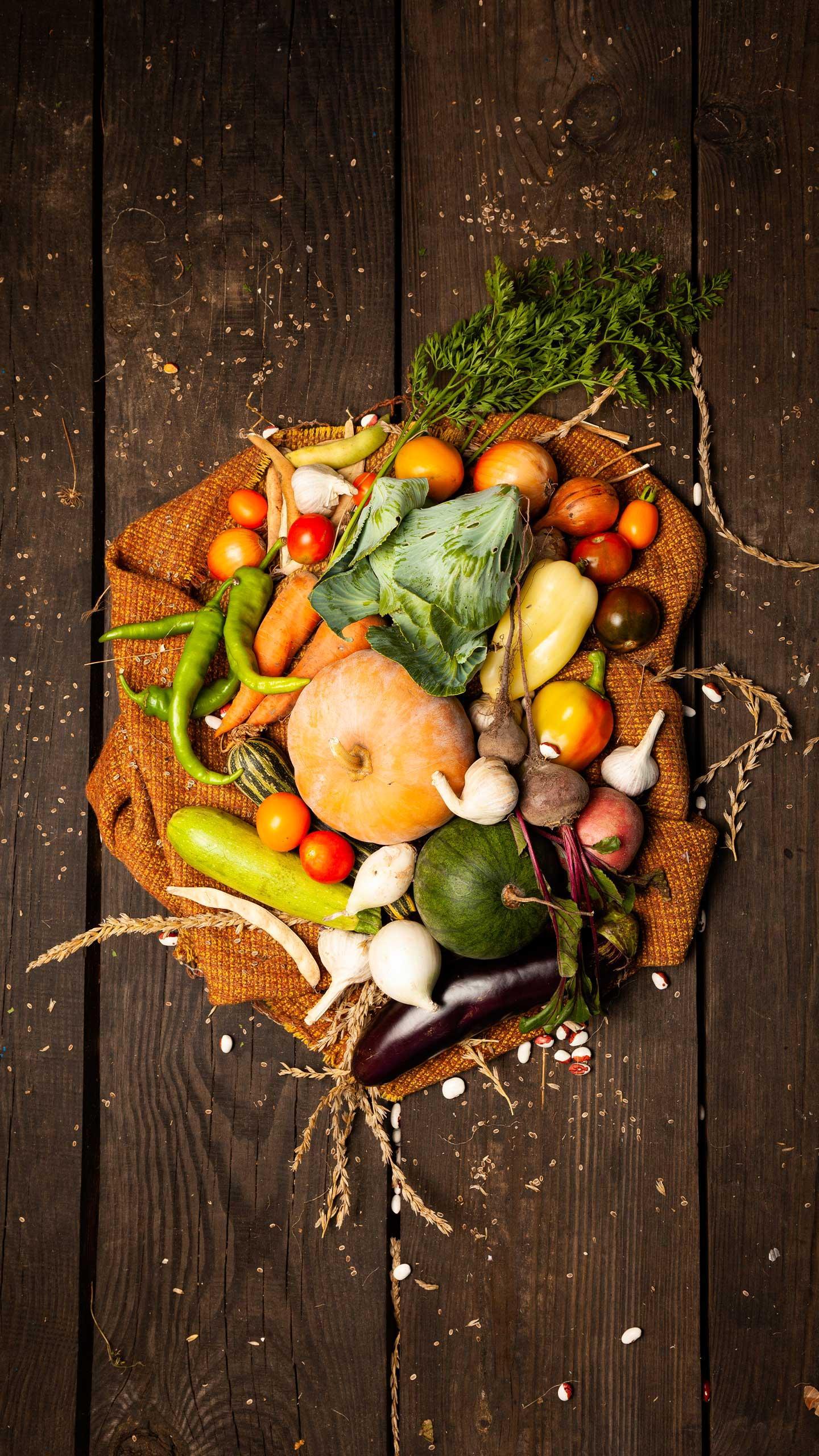 Columbia Center for Urban Agriculture Hosts Pumpkin Smashing Event to Promote Composting