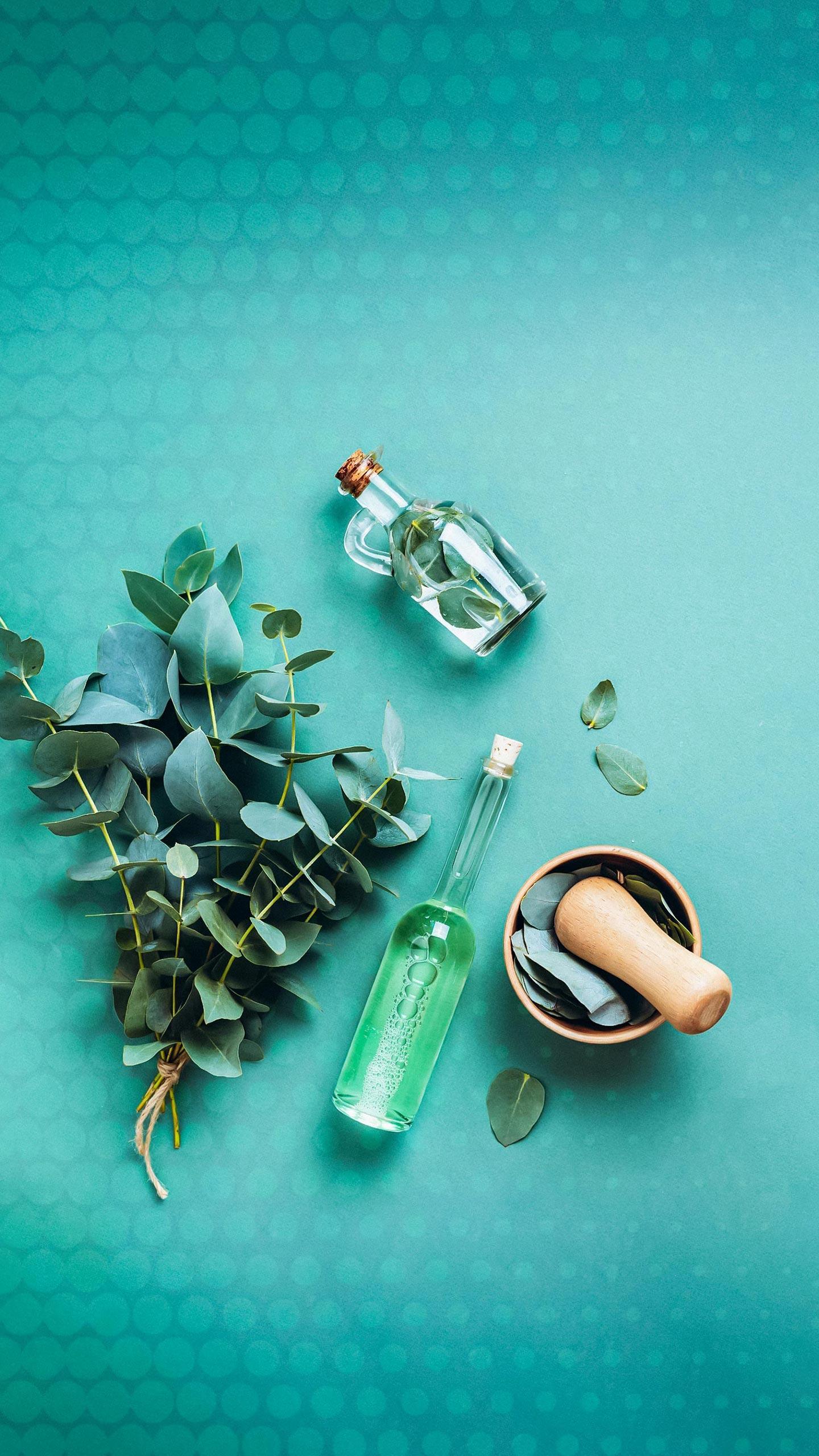 New Book Advocates for Natural Remedies in Modern Healthcare