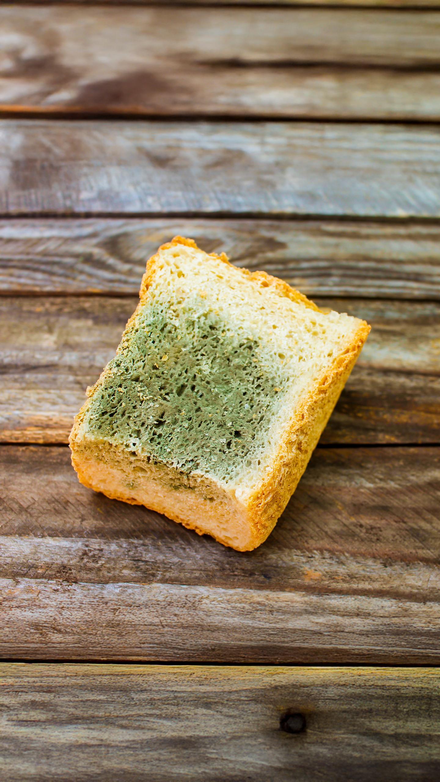 Toxicologist Warns Against Consuming Moldy Food Due to Health Risks