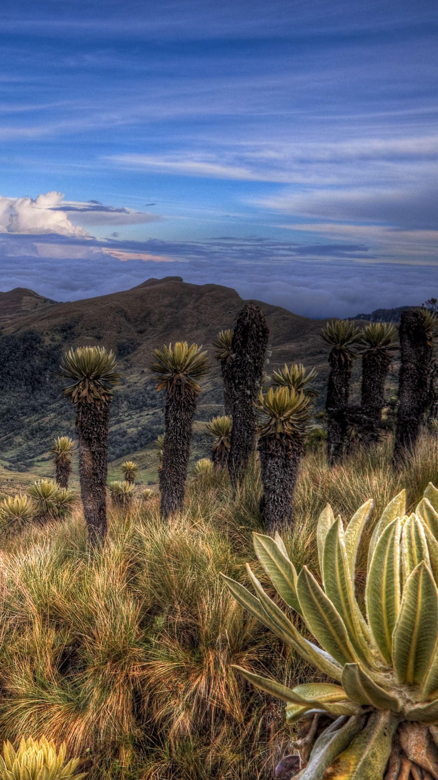 ESMO 2025 Highlights Transformative Advances in Cancer Treatment