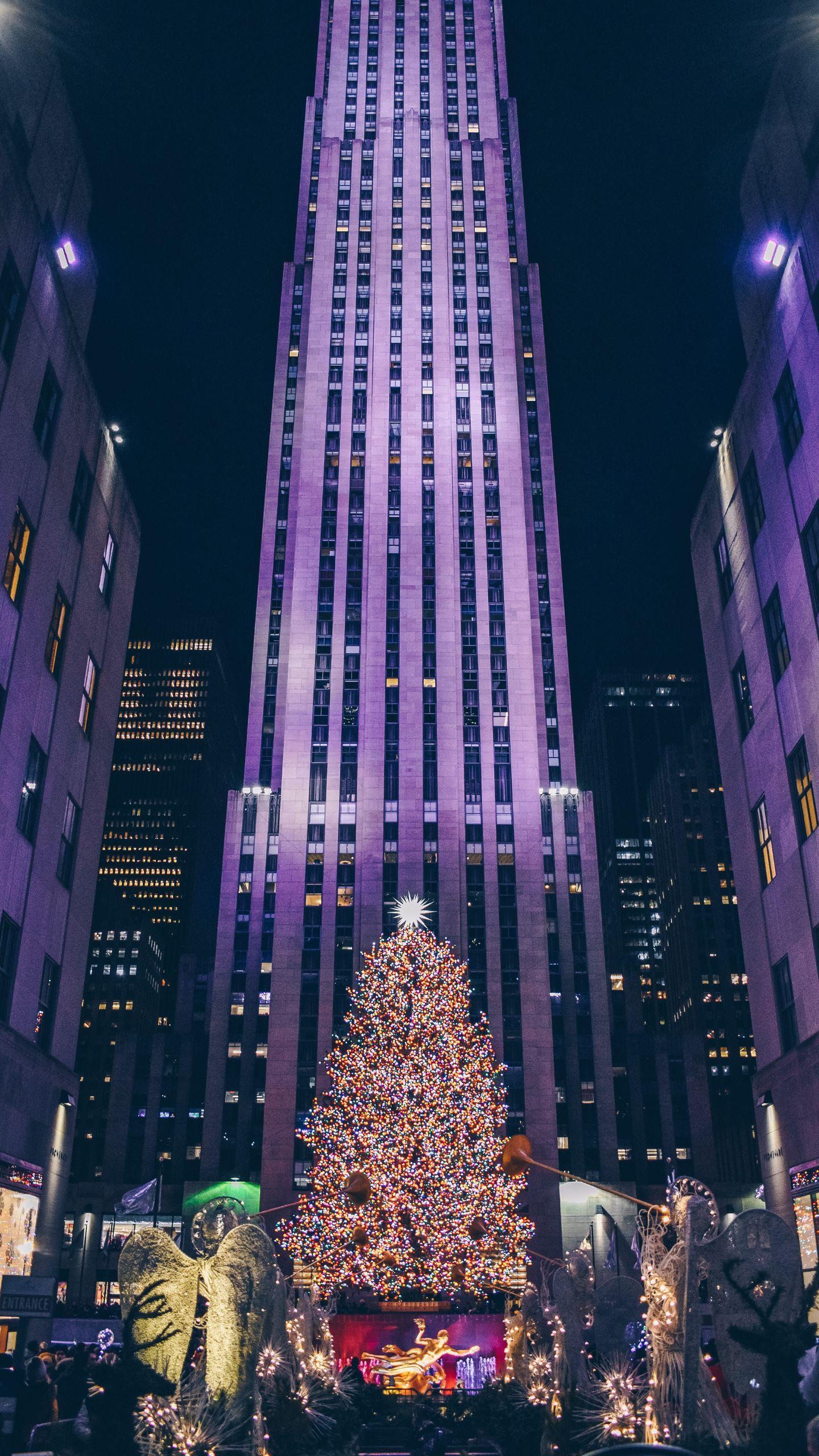 Norway Spruce from Upstate New York Selected as Rockefeller Center Christmas Tree