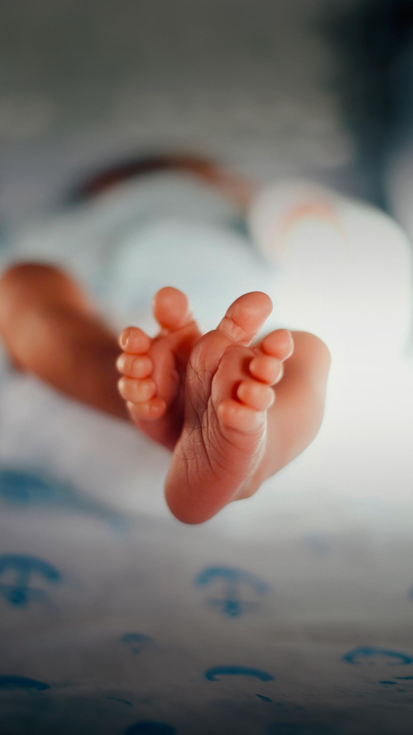 Study Identifies Factors Linked to Persistent Bloodstream Infections in Neonatal Intensive Care Units