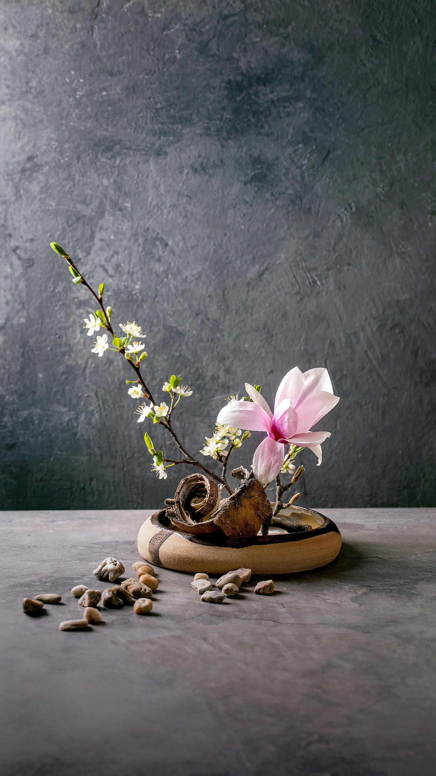 Ambetter from Magnolia Health Expands Insurance Offerings in Mississippi for 2026