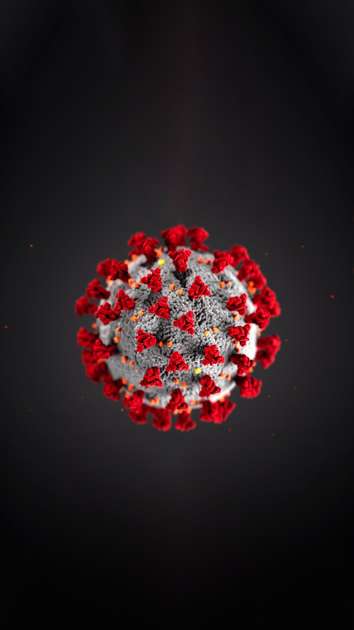 Research Identifies Natural Phytochemicals Targeting SARS-CoV-2 Variants