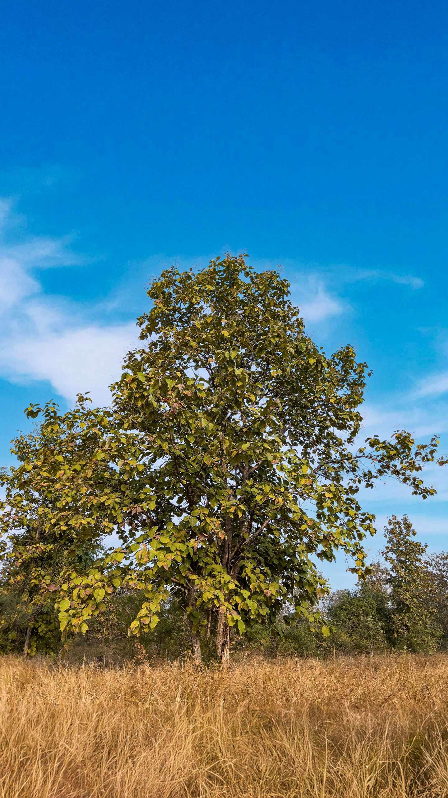 Healthcare Innovators Address Climate and Health Challenges in Upcoming Webinar