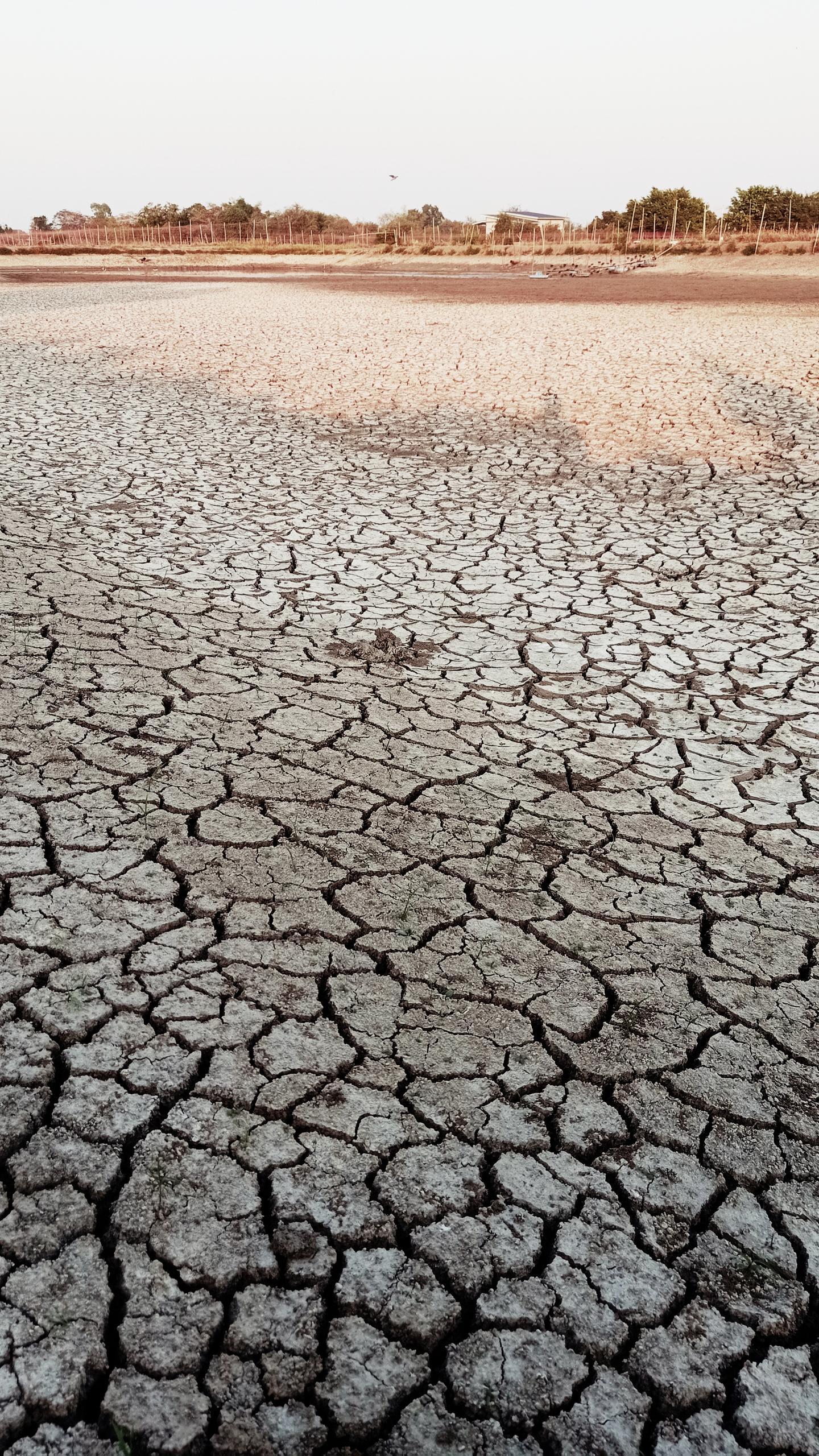 Study Links Low Choline Levels to Anxiety Disorders