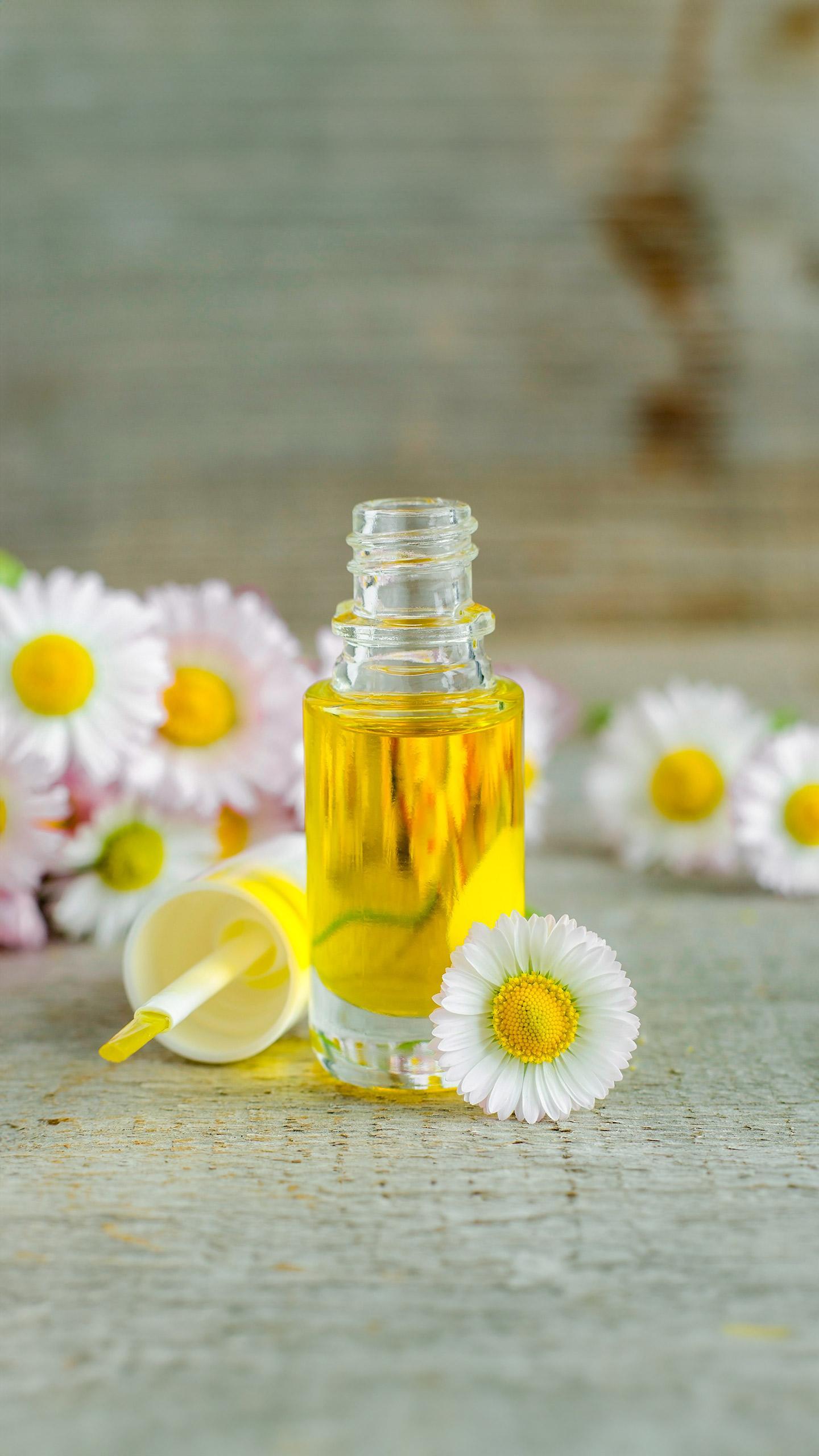 Essential Oils Enhance Vase Life and Quality of Gerbera Cut Flowers