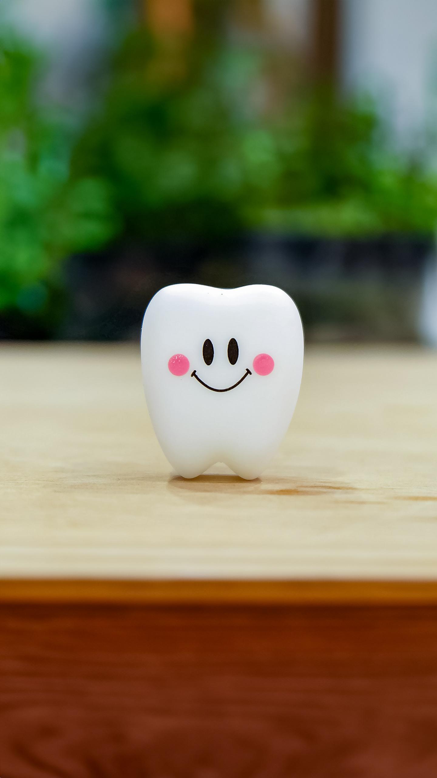 Research on Ellagic Acid Reveals Protective Effects in Dental Adhesive Interfaces