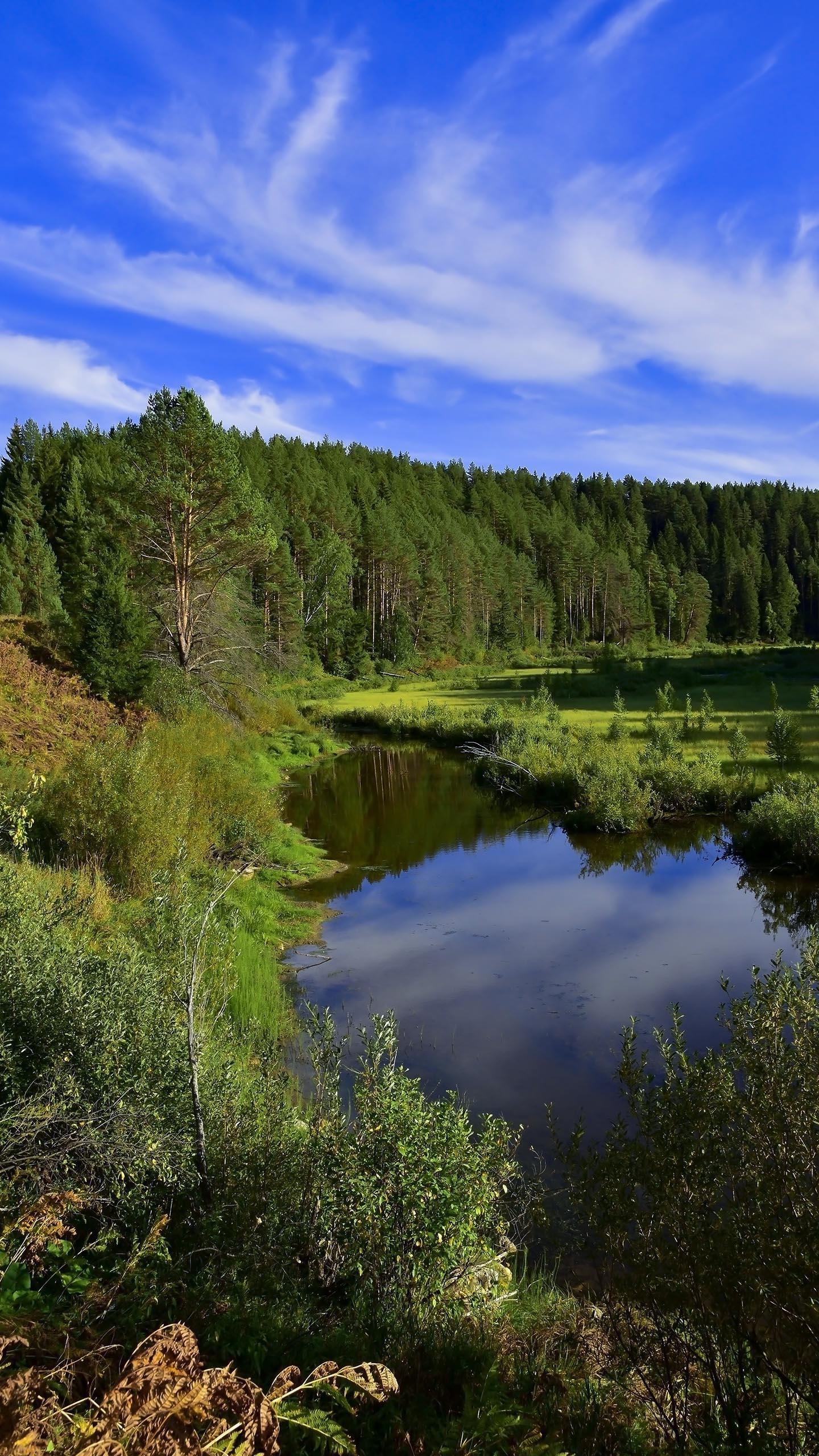 Northumberland Forager Promotes Nature Connection Through Guided Walks