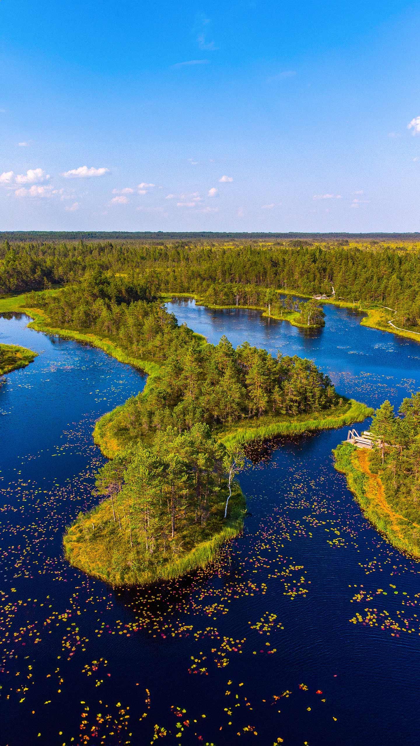 Photographer Captures Mystical Energy of Okefenokee Swamp in New Book