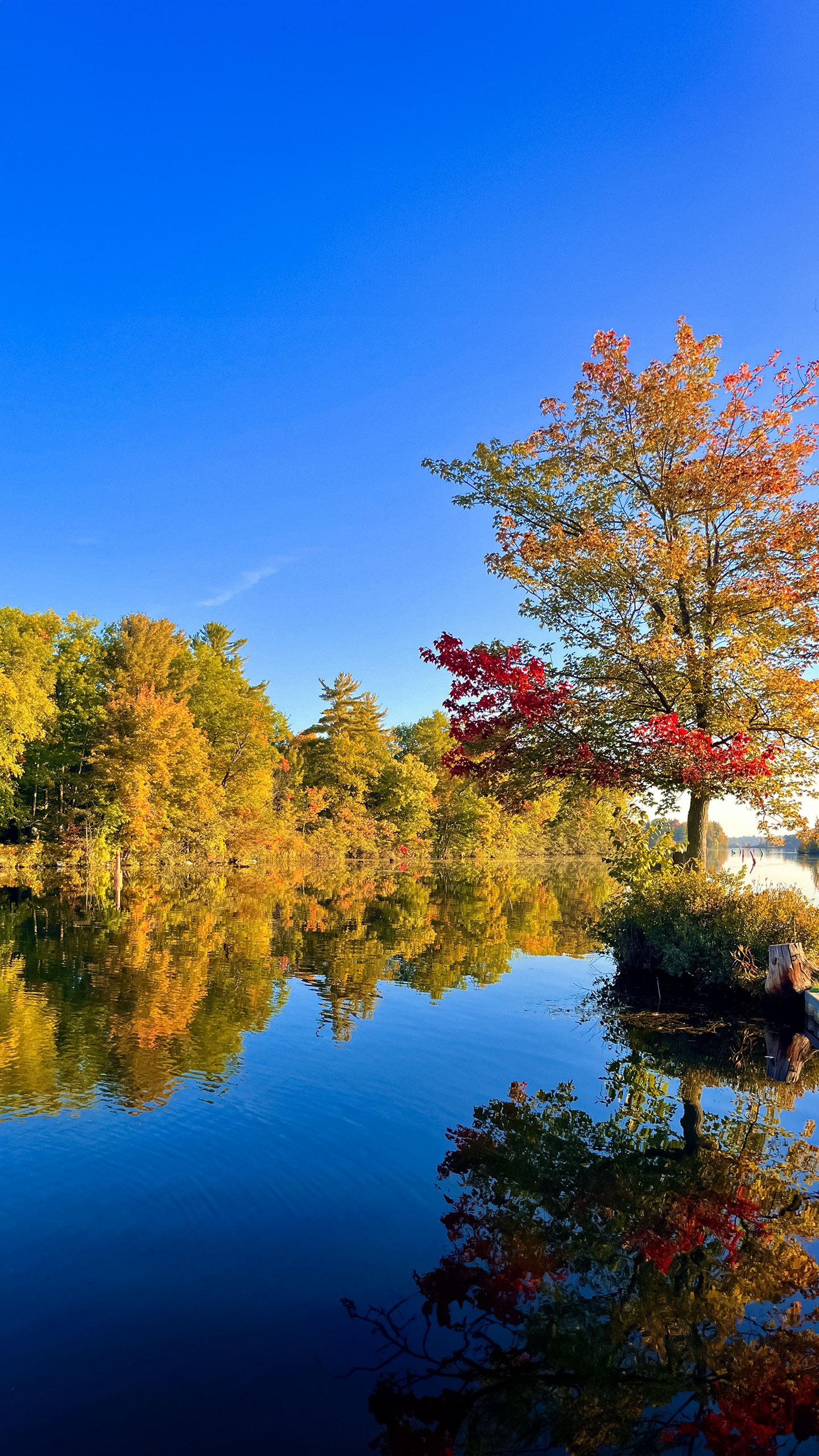 Explore Fall Map Highlights Peak Fall Foliage Across the U.S.
