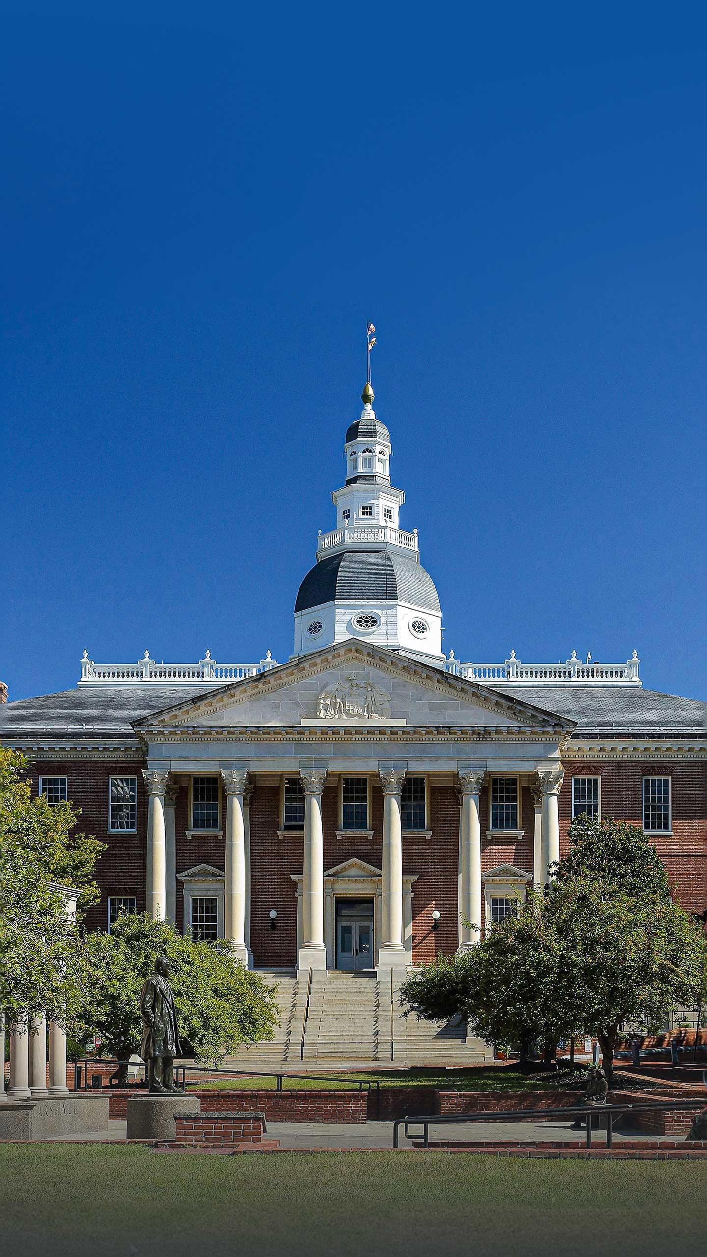 Virginia-Maryland College Researchers Discover Potential 'Off Switch' for Toxoplasma Gondii