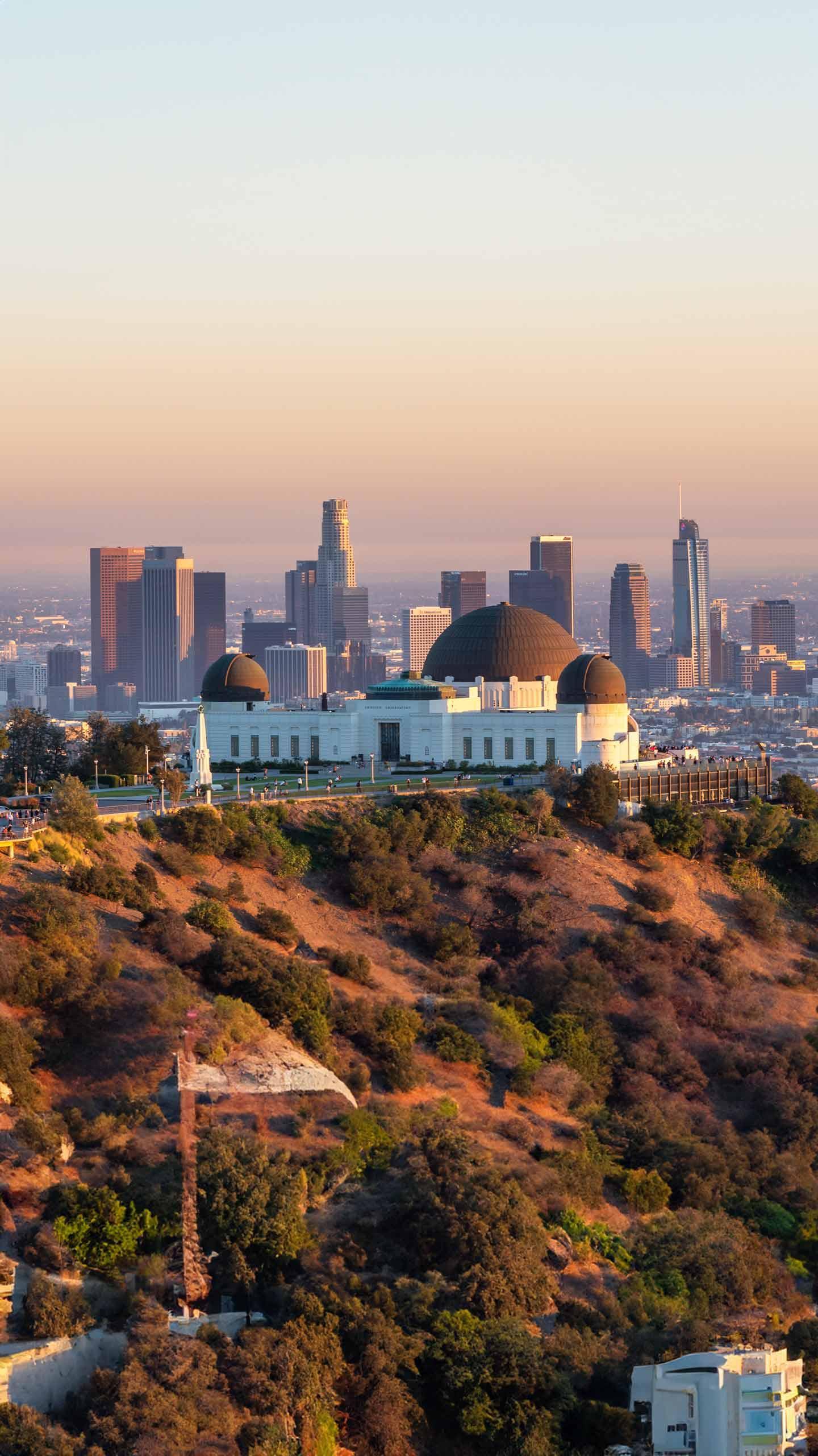 Griffith Park Hosts P-22 Day Festival to Advocate for LA Wildlife Protection