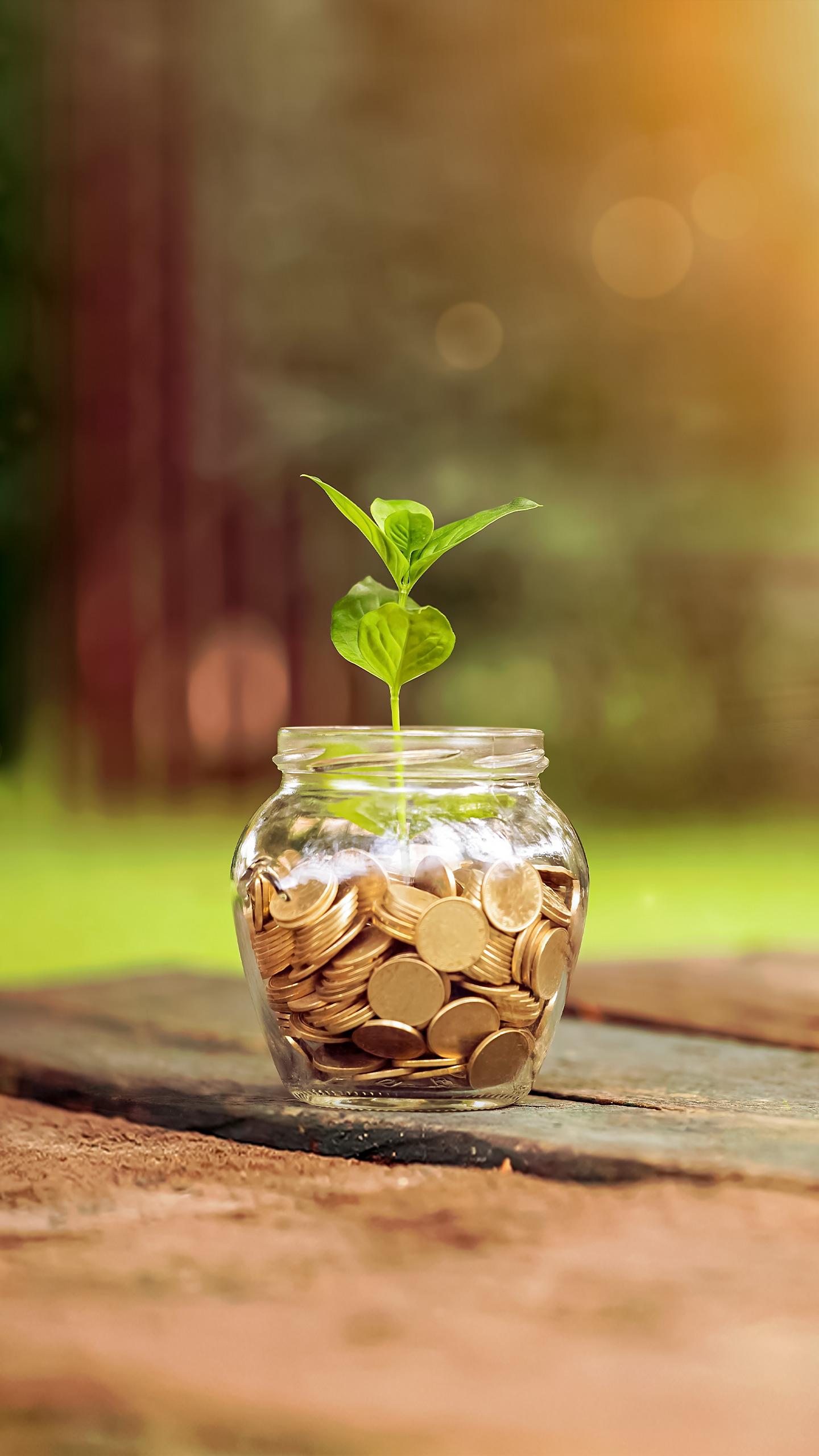 Self-Made Millionaire Critiques Common Money Tips for Financial Success