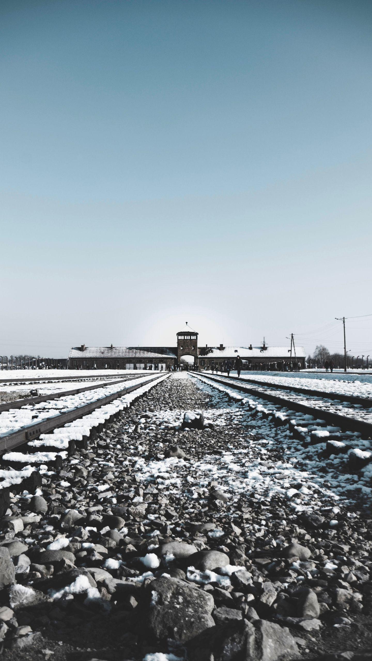 Lessons from Holocaust Survivors: Supporting Former Hostages' Recovery